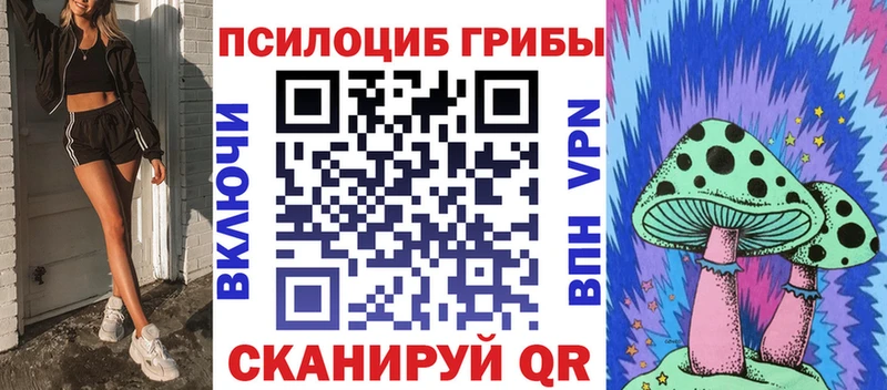 Псилоцибиновые грибы GOLDEN TEACHER купить наркотики сайты Татарск